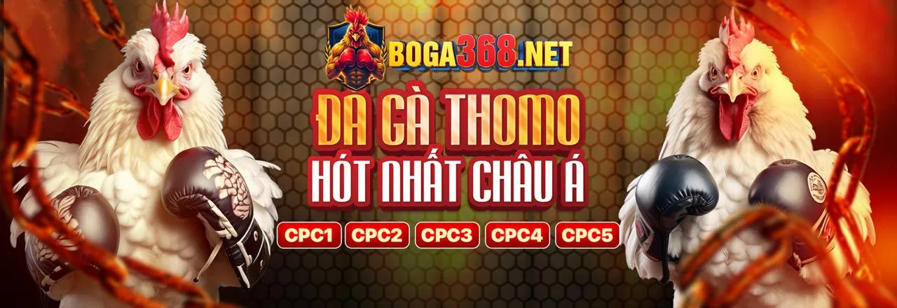 Điều khoản và điều kiện khuyến mãi nuhu90 nhà cái