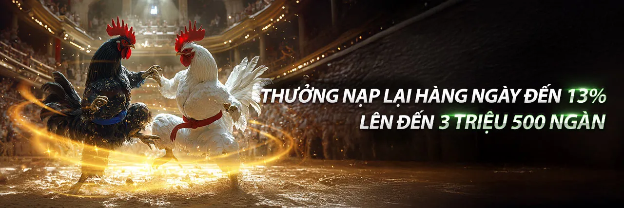 Blog nuhu90 nhà cái - Nơi cập nhật tin tức và chiến lược cá cược